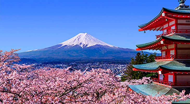 雪をかぶった富士山の様子