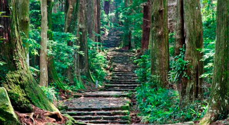 紀伊山地の参詣道の階段