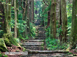 紀伊山地靈場及參拜道