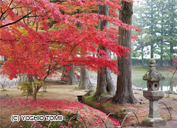 Hiraizumi - Tempel, Gärten und archäologische Stätten, die das buddhistische “pure Land