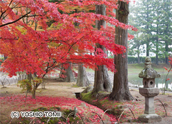 Hiraizumi – Temples, jardins et sites archéologiques représentant la Terre Pure bouddhiste