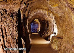 Minas de plata de Iwami Ginzan y su paisaje cultural