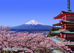 富士山