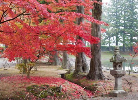 平泉-仏国土(浄土)を表す建築・庭園及び考古学的遺跡群(HIraizumi-Temples and Archaeological Sites Representing the Buddhist Pure Land)