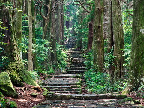 紀伊山地の霊場と参詣道(Sacred Sites and Pilgrimage Routes in the Kii Mountain Range)
